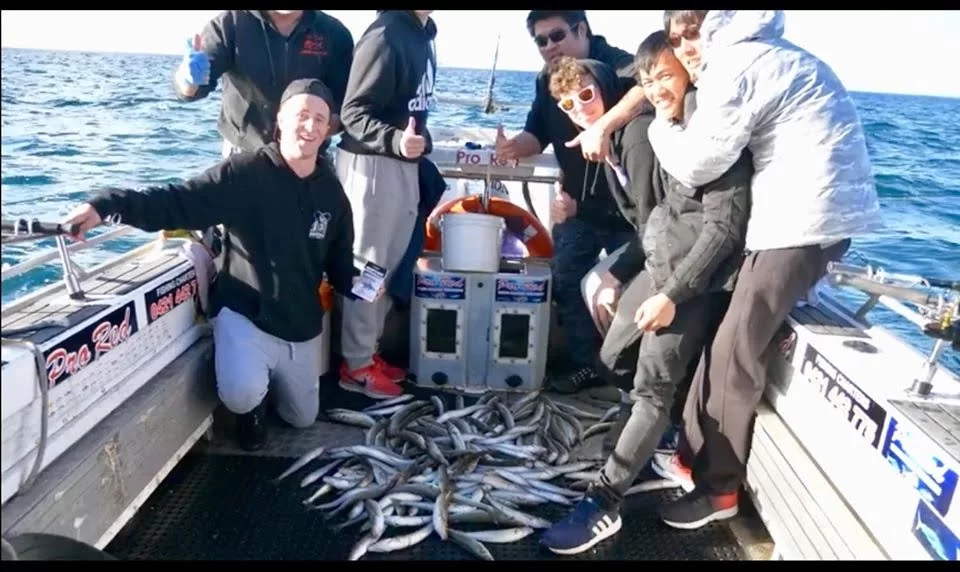 King George Whiting Fishing Charters