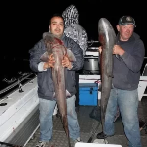 shark fishing charters 1 jpg