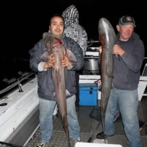shark fishing charters jpg